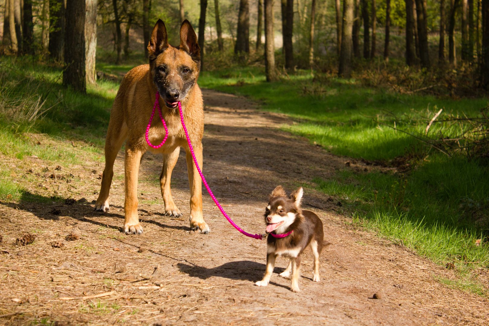 Kerou und Pinky