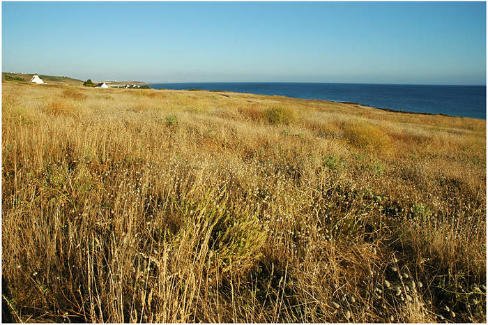 Kersiny Plage