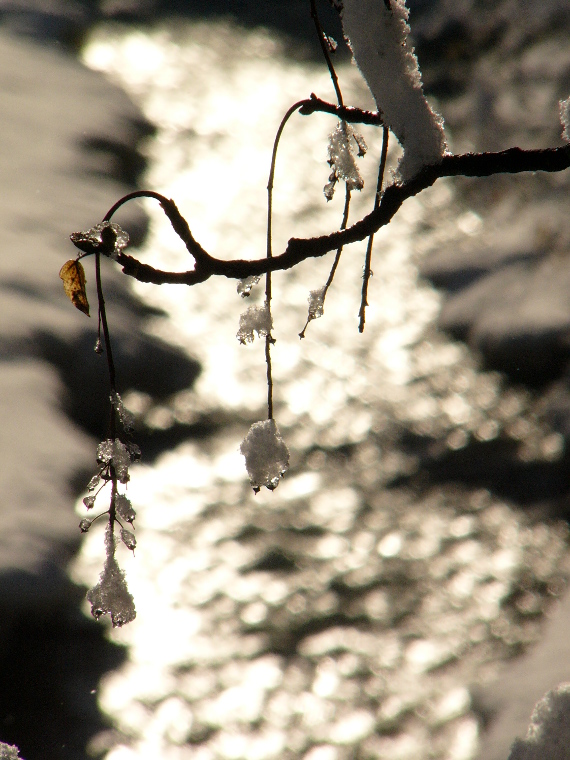 Kerstins Winterlandschaft 2