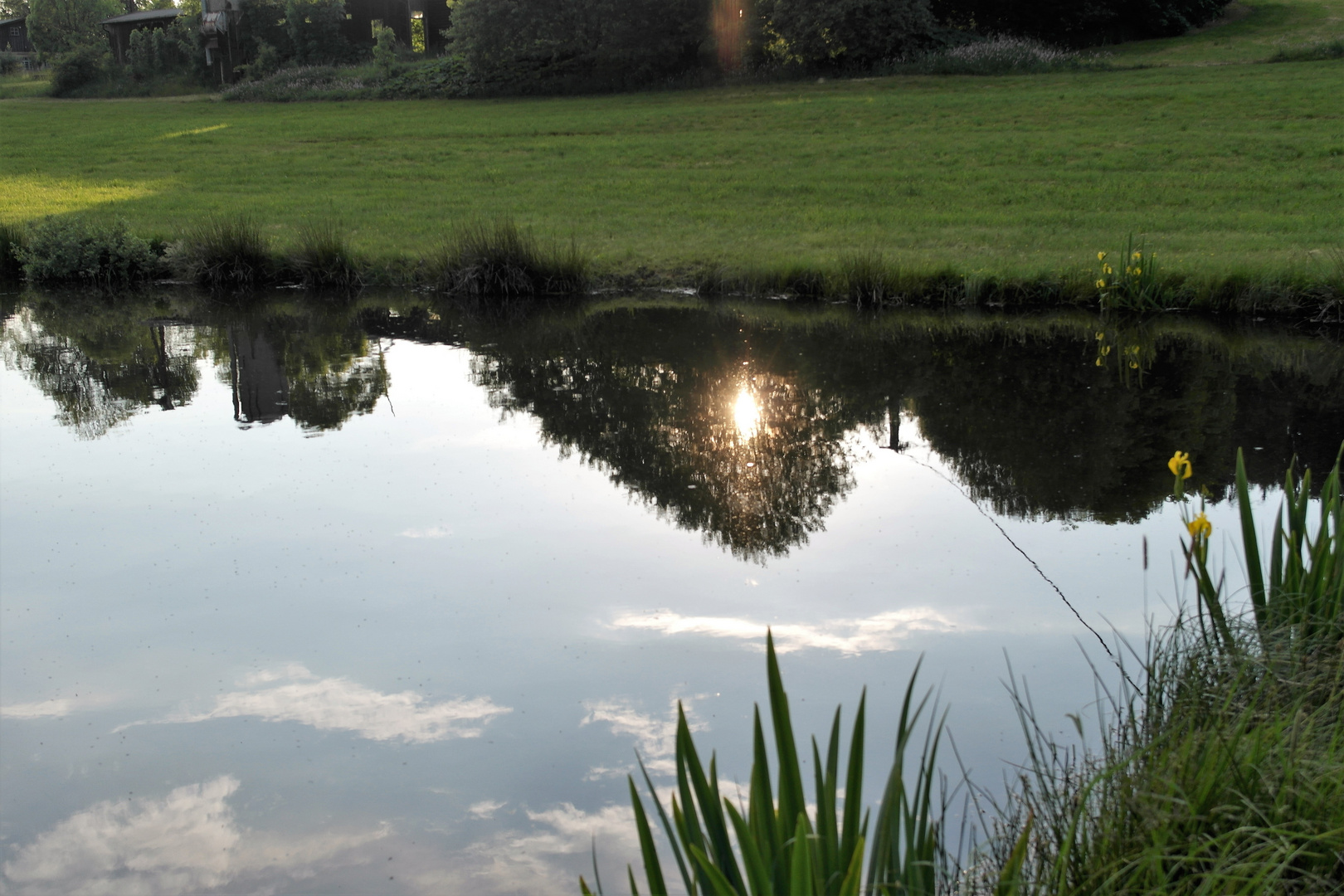 Kerze im Unterwasserbaum  Spiegeltag