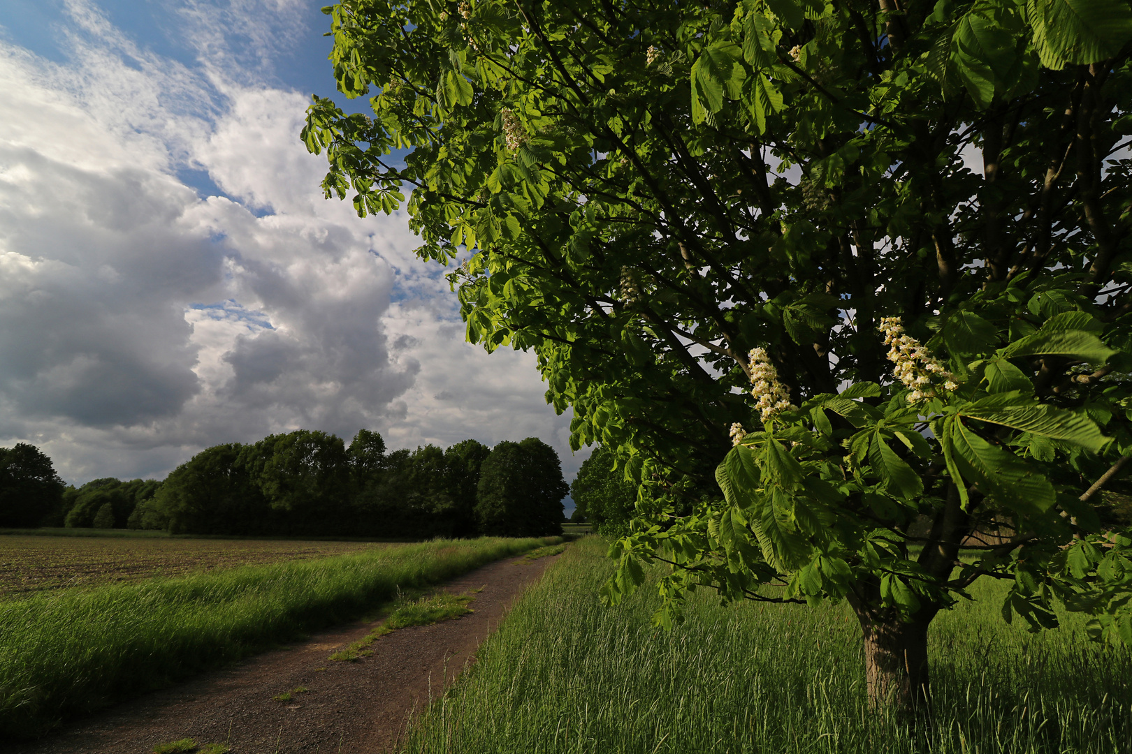 Kerzen im Wind