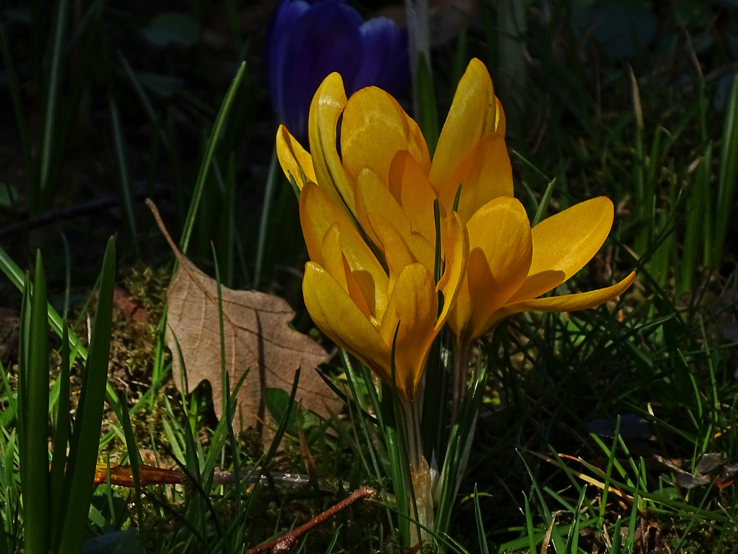 Kerzengerade im Sonnenlicht