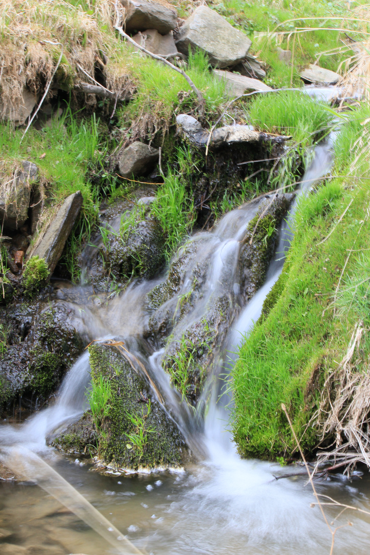 Kesselbach Foto & Bild landschaft, bach, fluss & see, bachläufe