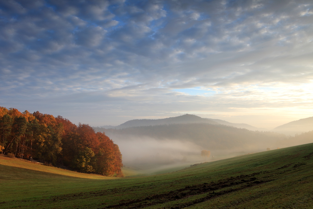 Kesselbachtal im Morgennebel