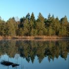 Kesselsee am frühen Morgen