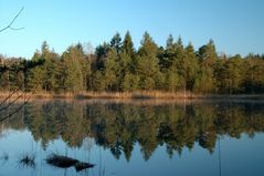 Kesselsee am frühen Morgen