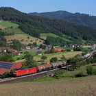 Kesselwagen in idyllischer Landschaft