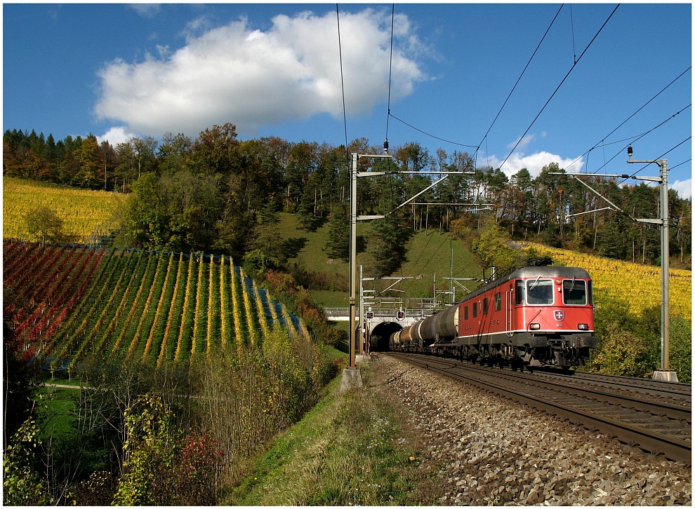 Kesselzug durch den Rebberg