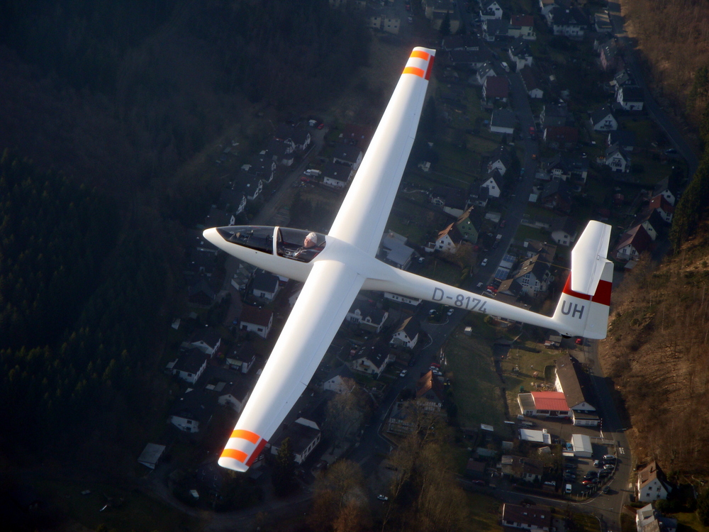 Kestrel über Siegen