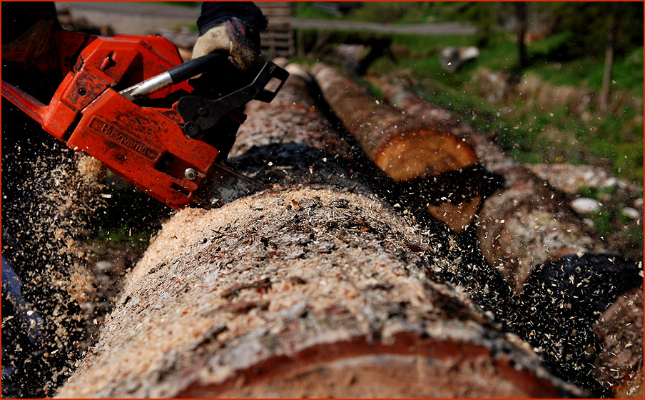 Kettensägen Holzmassaker I