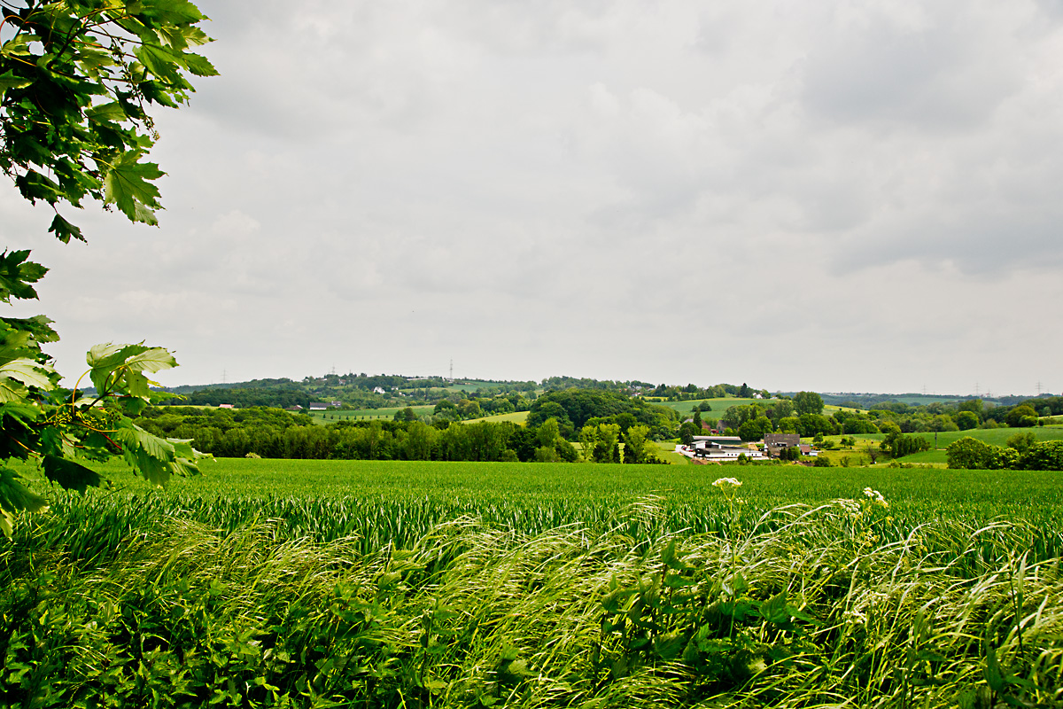 Kettwig - Langenberg II