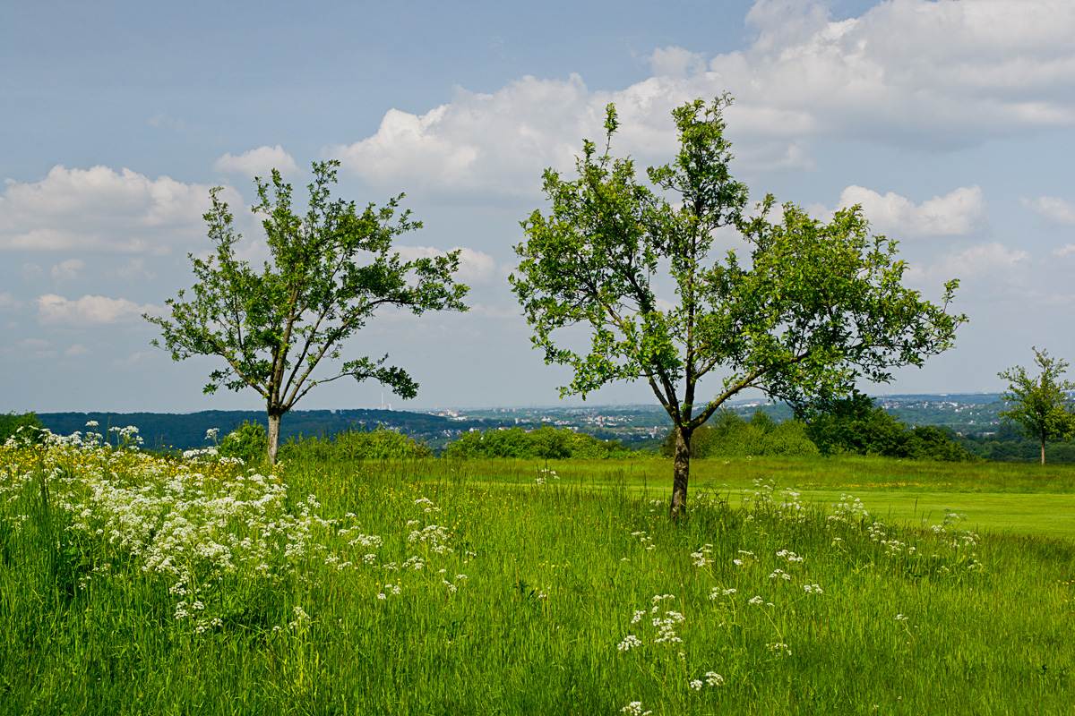 Kettwig - Langenberg V