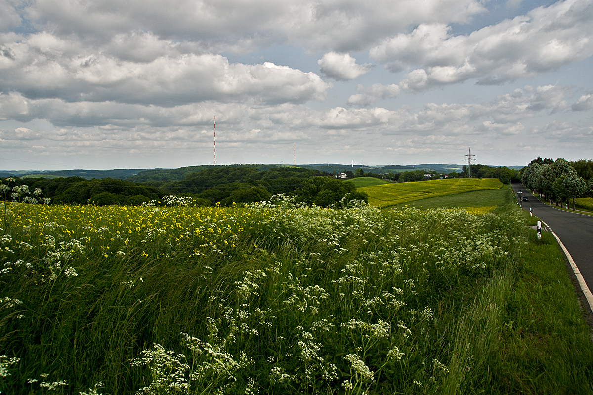 Kettwig - Langenberg VII