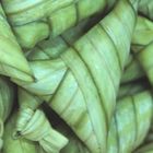 Ketupat