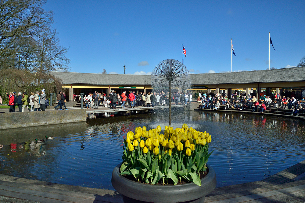 Keukendorf/hof schönster Blumenpark in Holland April 2013 Nr. 1