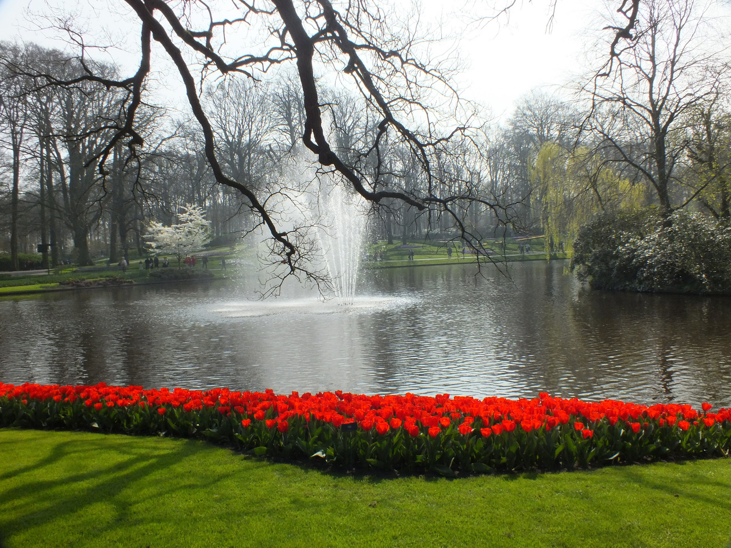 Keukenhof 