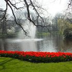 Keukenhof 