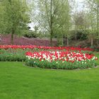 Keukenhof