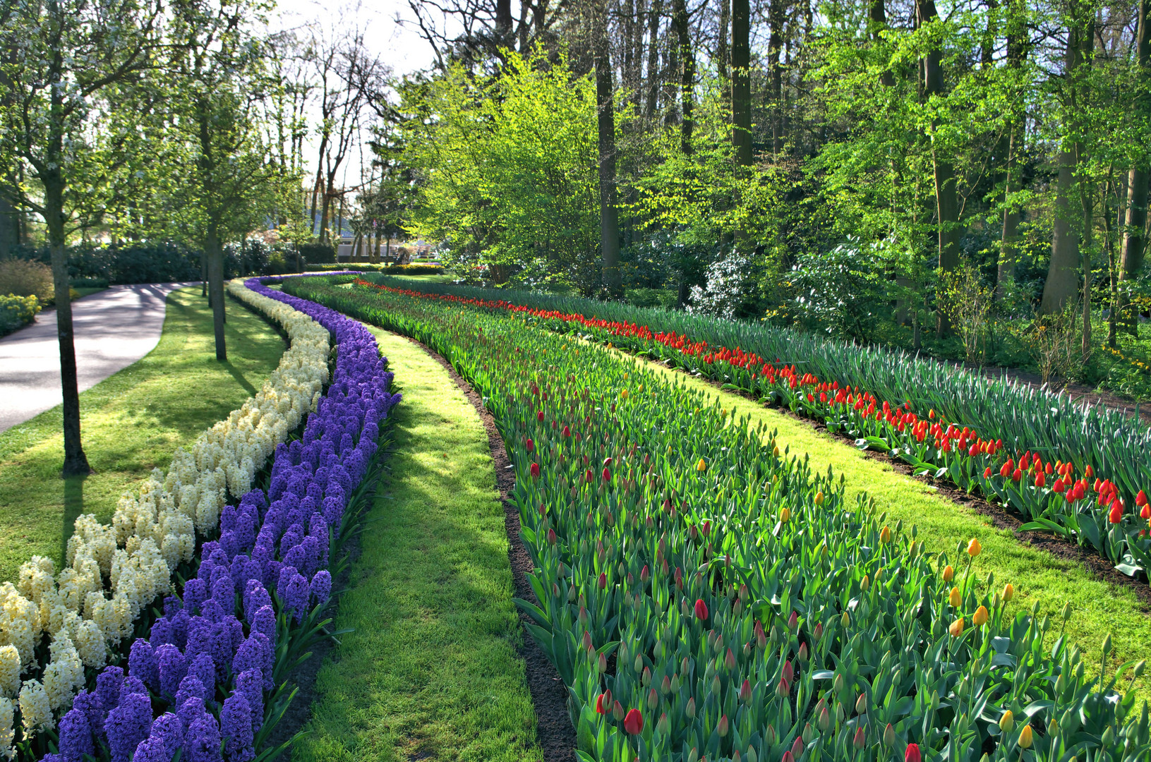 Keukenhof 1