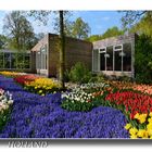 Keukenhof 1 HOLLAND