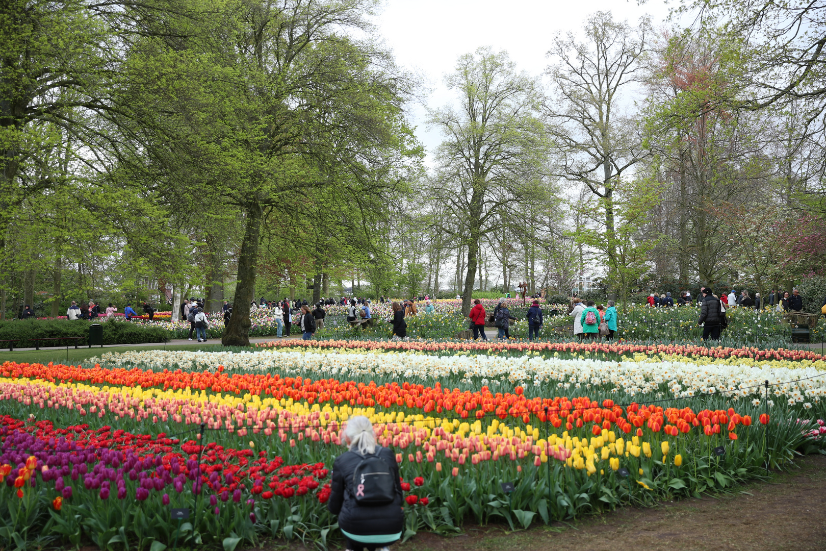 Keukenhof