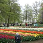 Keukenhof