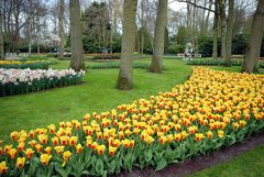 Keukenhof 14