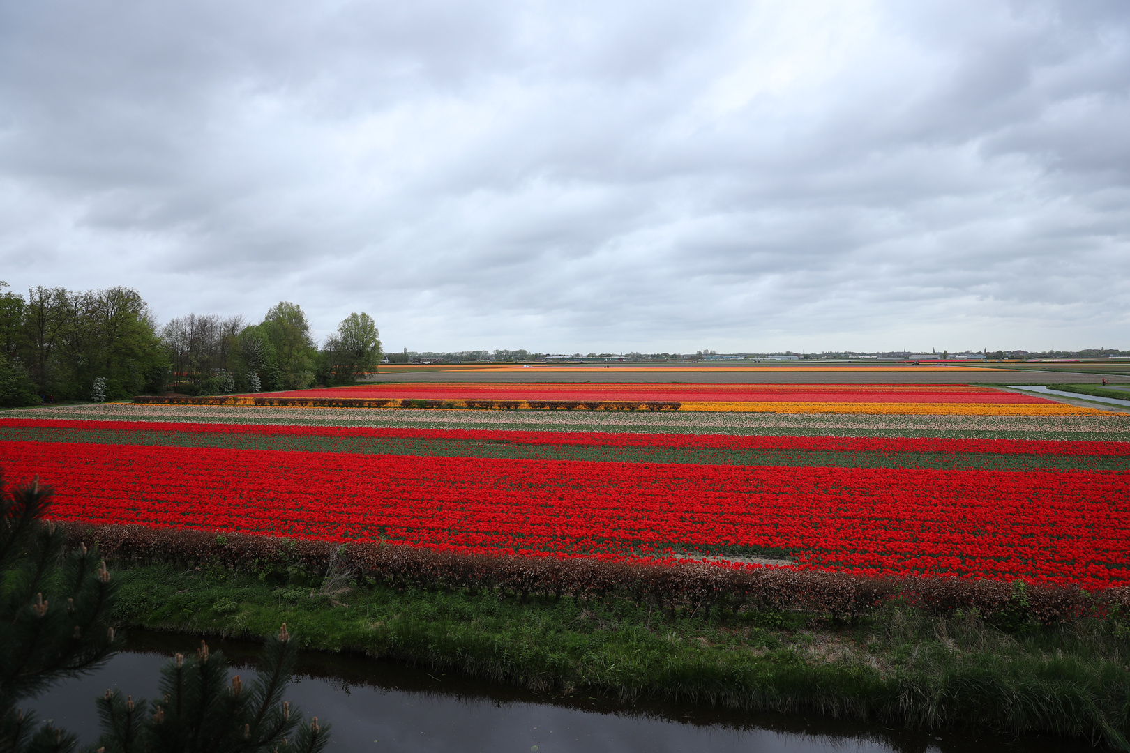 Keukenhof