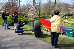 Keukenhof 20