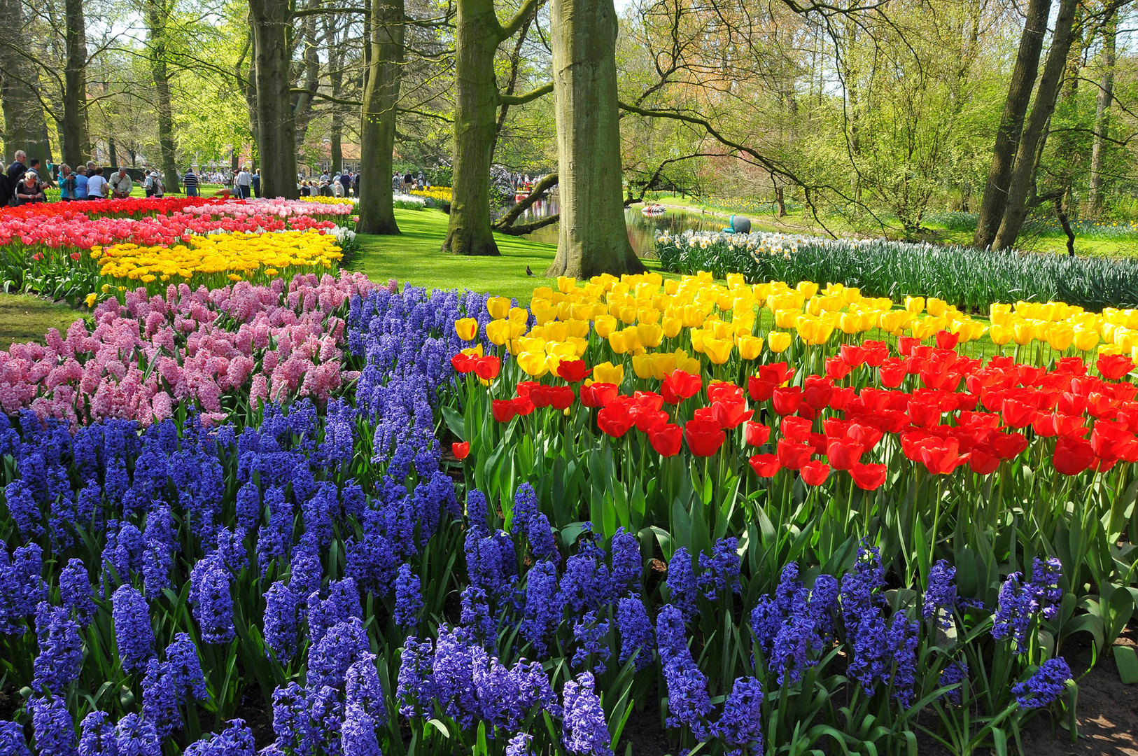 Keukenhof 2011