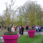 Keukenhof 2015 / Niederlande