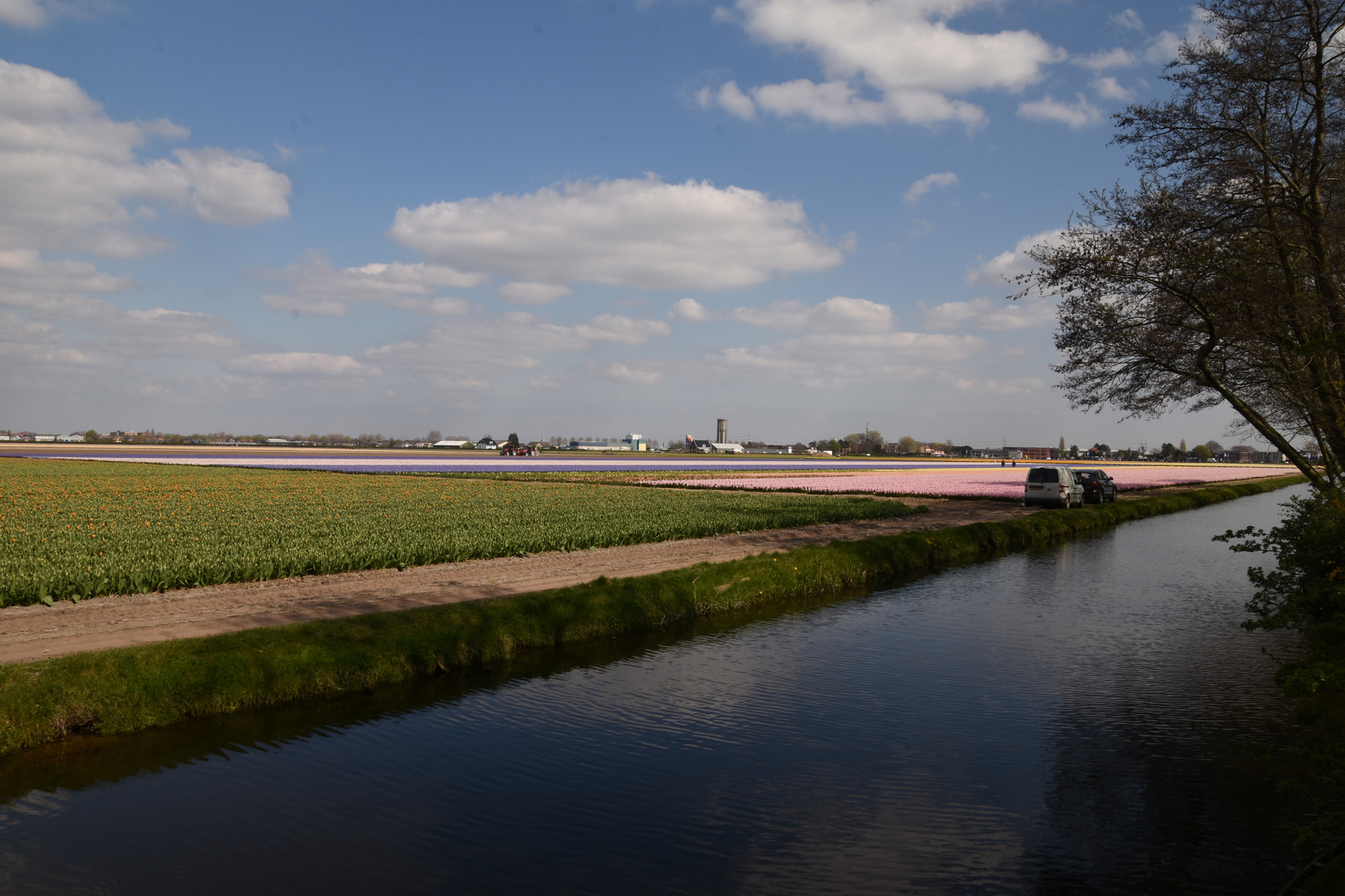 Keukenhof 2019