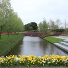 Keukenhof