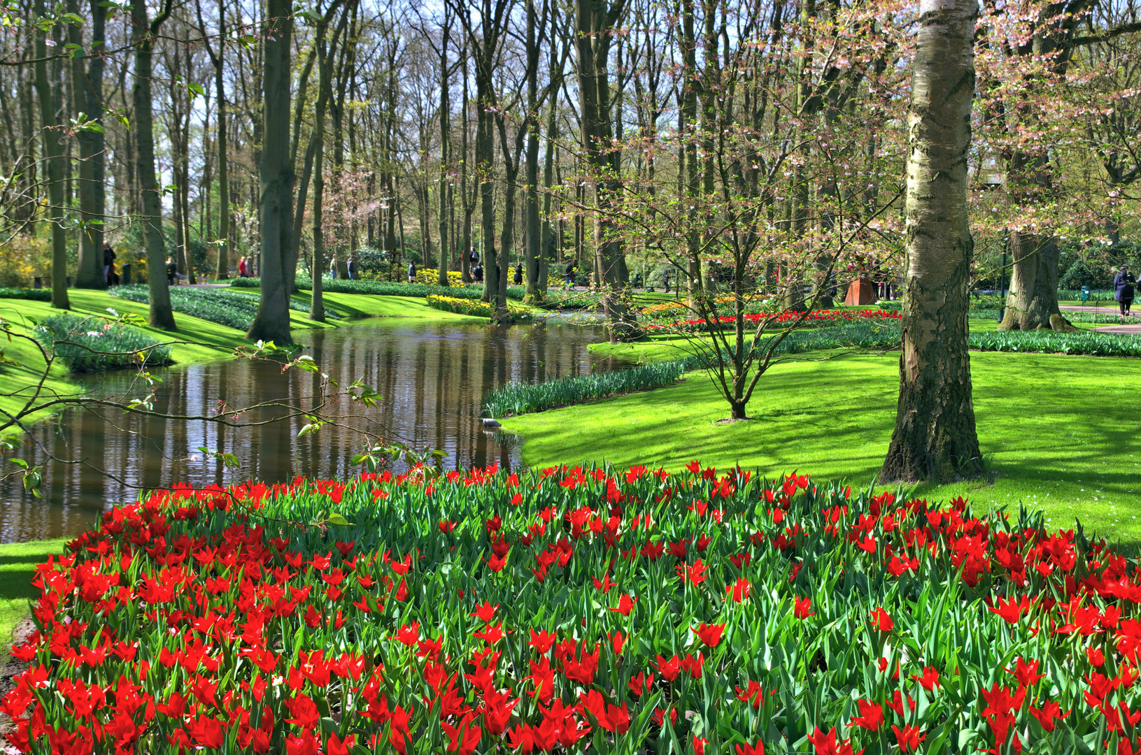 Keukenhof 3