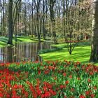 Keukenhof 3