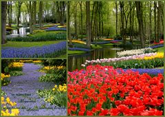 Keukenhof