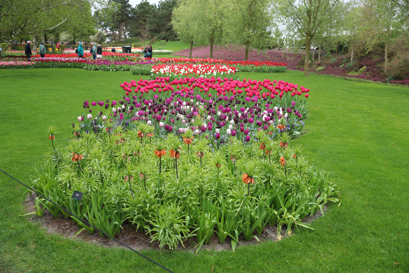 Keukenhof