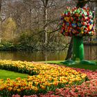 Keukenhof...