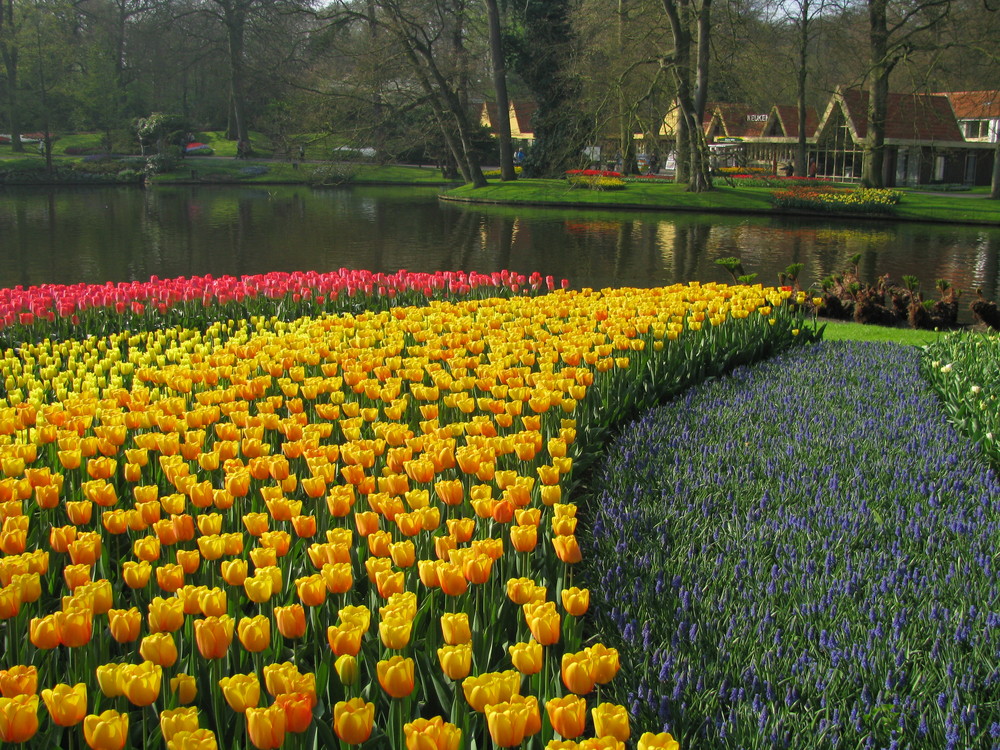 KEUKENHOF