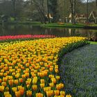 KEUKENHOF