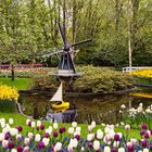 Keukenhof