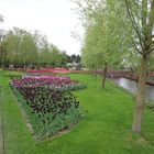 Keukenhof