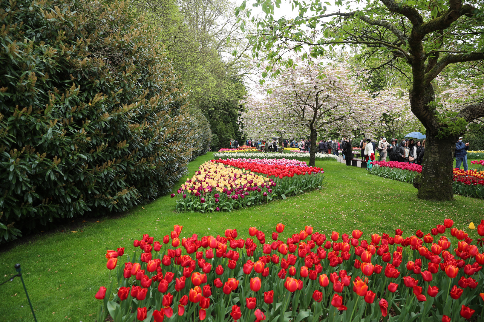 Keukenhof