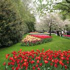 Keukenhof