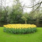 Keukenhof