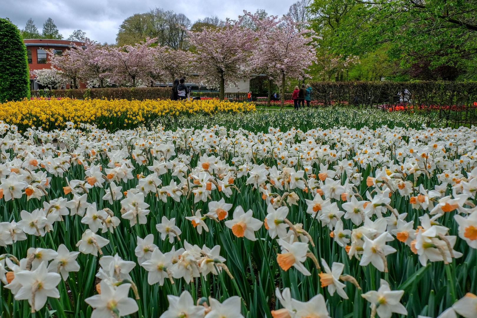 Keukenhof