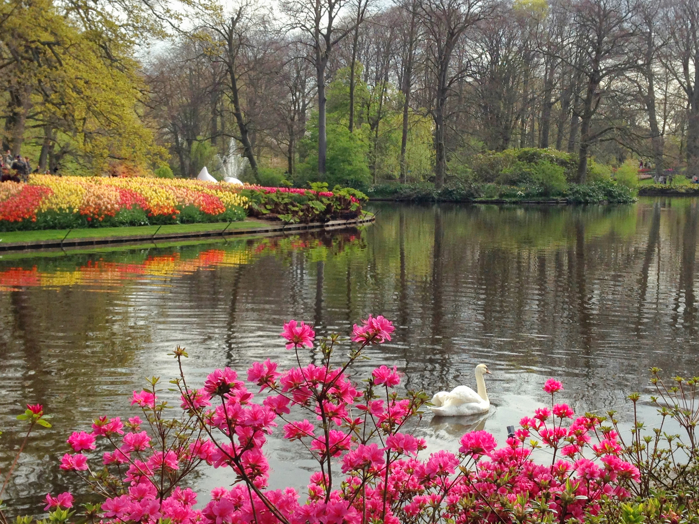 Keukenhof