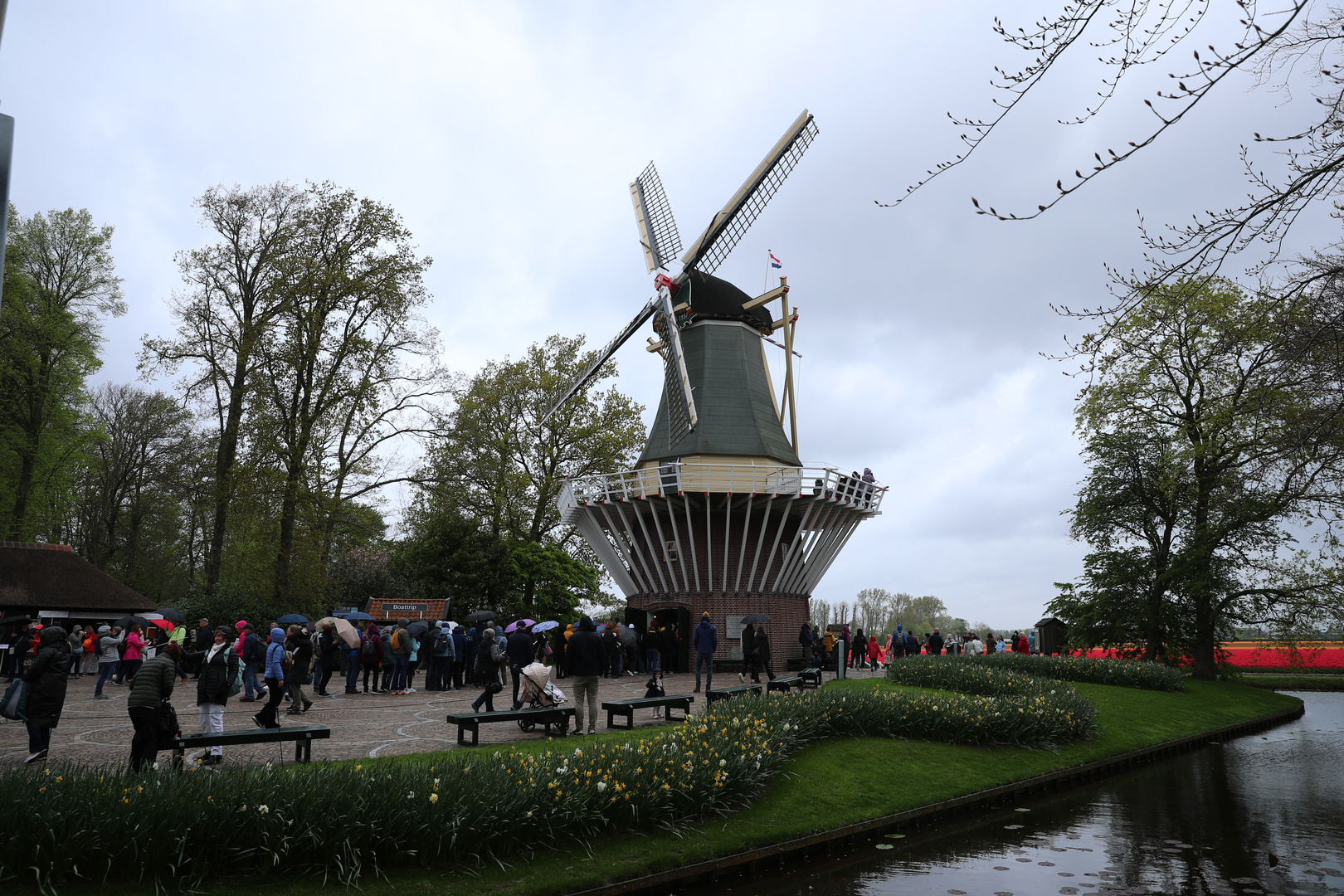 Keukenhof