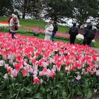 Keukenhof