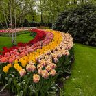 Keukenhof